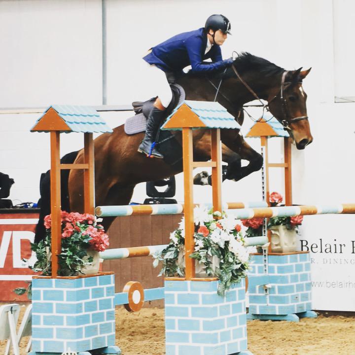 horseboxseller-phil-showjumping